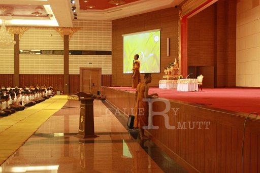 IMG_9902.JPG