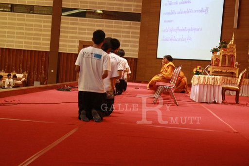 IMG_9931.JPG