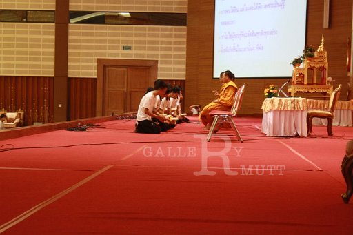 IMG_9933.JPG