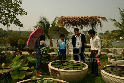 IMG_0046.JPG