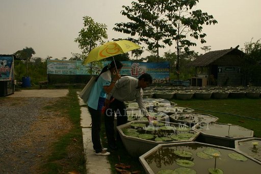 IMG_0054.JPG