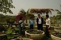 IMG_0045