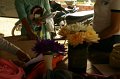 IMG_0073