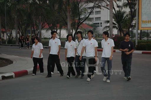 DSC_8778.JPG