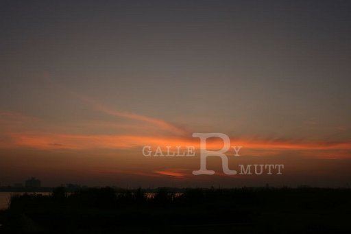 IMG_0832.JPG