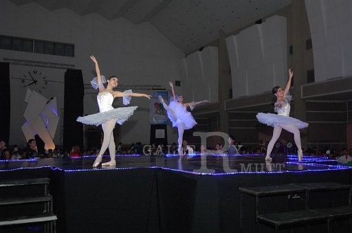 DSC_0174.JPG