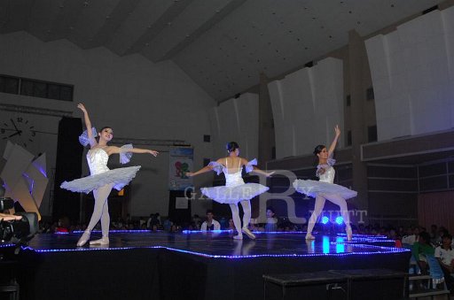 DSC_0175.JPG