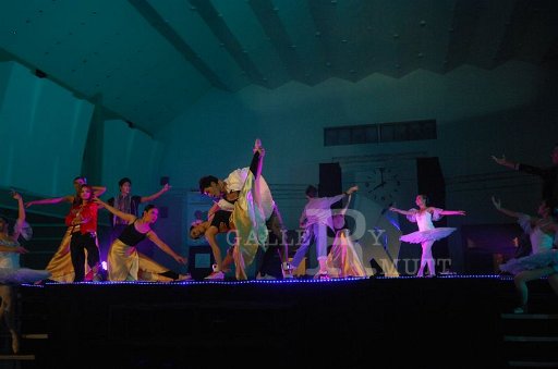 DSC_0193.JPG