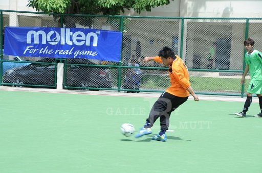 DSC_6492.JPG