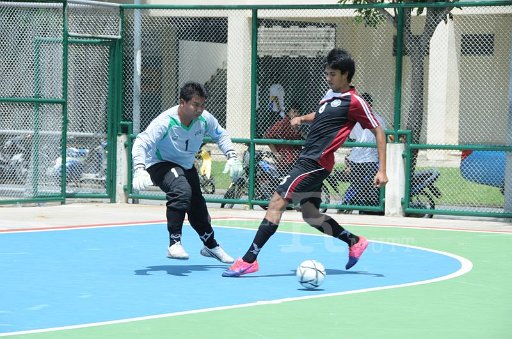 DSC_6513.JPG