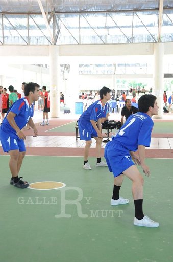 DSC_6554.JPG