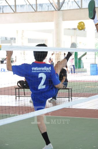 DSC_6570.JPG