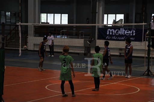 DSC_6633.JPG