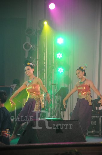 DSC_6827.JPG