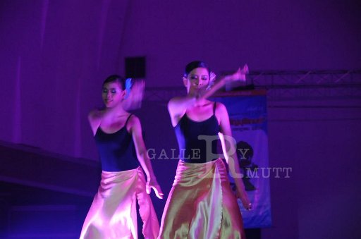 DSC_7034.JPG