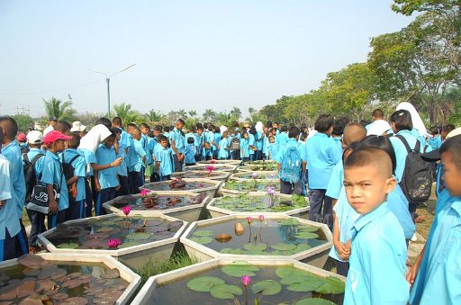 DSC_0077.JPG