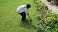 DSCF3960