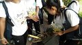 DSCF3969