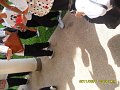 FIL145