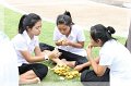 IMG_9682