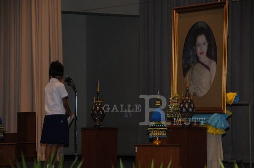 DSC_9443.JPG