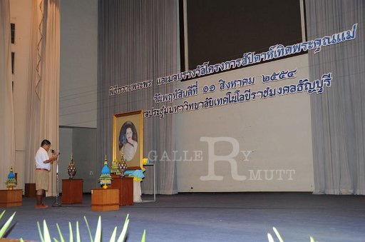 DSC_9445.JPG