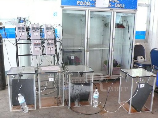 P1080111.JPG - ตู้อบกุหลาบของมทร.ธัญบุรี
