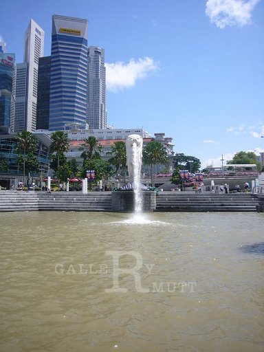 P1010635.JPG