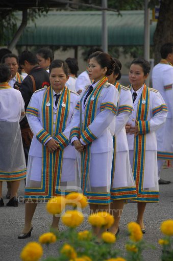 DSC_0023.JPG