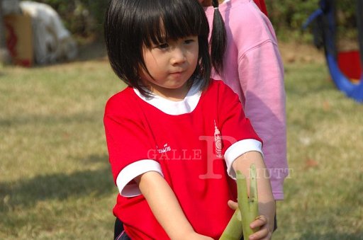 DSC_0270.JPG -  กีฬาสีอนุบาลสาทิตราชมงคล