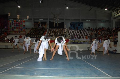 DSC_0398.JPG