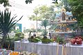 IMG_5234
