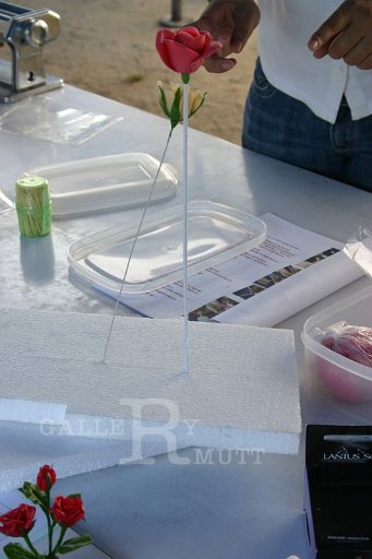 IMG_0038_1.JPG