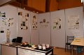 IMG_9686