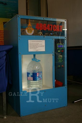 IMG_3300.JPG