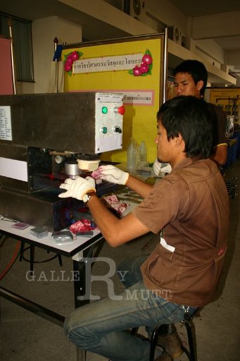 IMG_3324.JPG