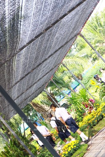 IMG_4834.JPG