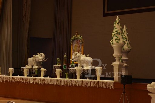 IMG_4857.JPG