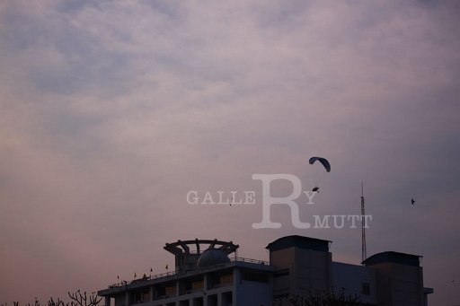 IMG_5042.JPG