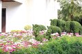 IMG_4823