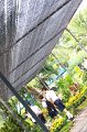 IMG_4834