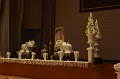 IMG_4857