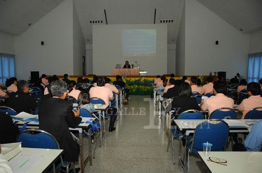 DSC_0013.JPG
