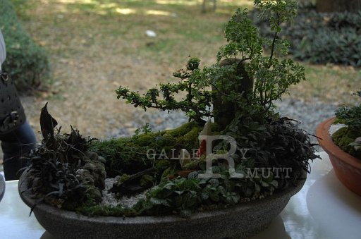DSC_0023.JPG