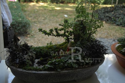 DSC_0024.JPG