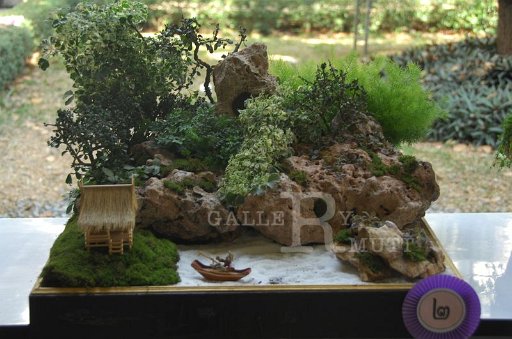 DSC_0030.JPG