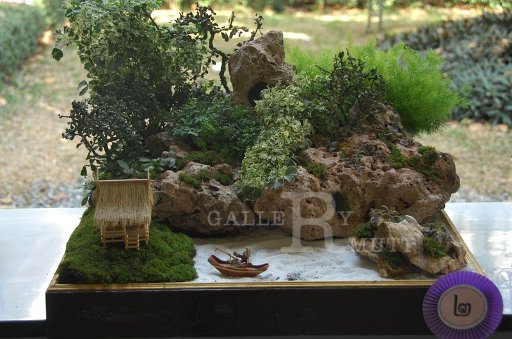 DSC_0031.JPG