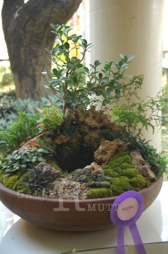 DSC_0036.JPG