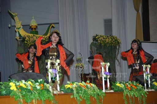 DSC_0155.JPG