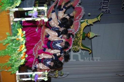 DSC_0179.JPG